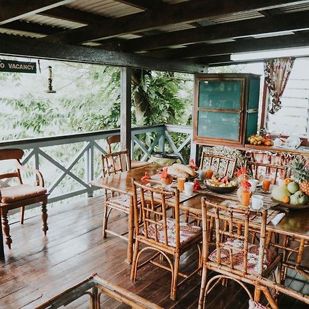 Treetops Boutique Hotel & Bungalows ポートビラ エクステリア 写真