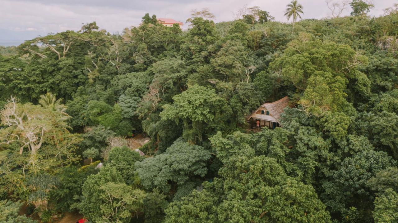 Treetops Boutique Hotel & Bungalows ポートビラ エクステリア 写真